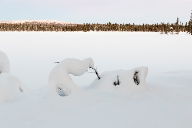 写真 kiruna laplandスウェーデンの冬の風景