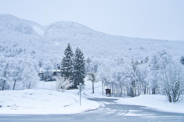 사진 스칸디나비아의 겨울 풍경 도로에 눈 덮인 나무 풍경 사진