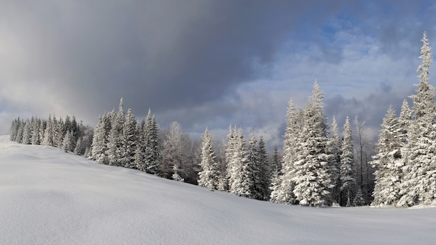 写真 カルパティア山脈の冬の風景