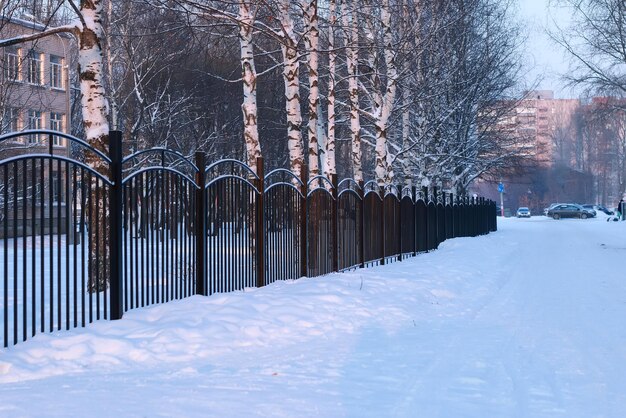 Winter landscape iron fence at sunset