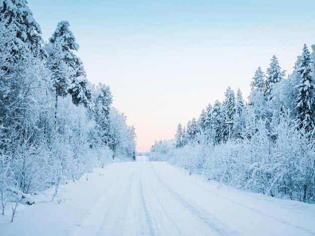 冬の風景 外は雪が降っている 雪の粒が近距離で 雪が降っている