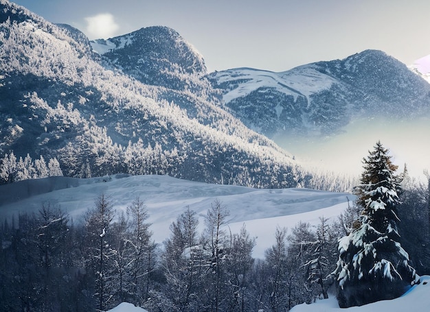 写真 冬 の 景色 壮大な 山々 樹木 に 積もる 雪