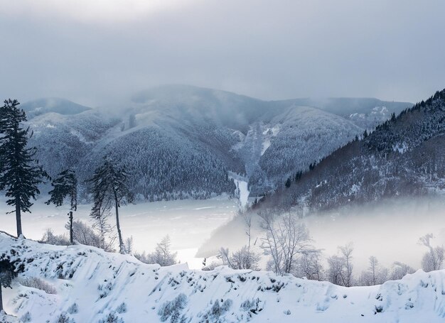 写真 冬 の 景色 壮大な 山々 樹木 に 積もる 雪