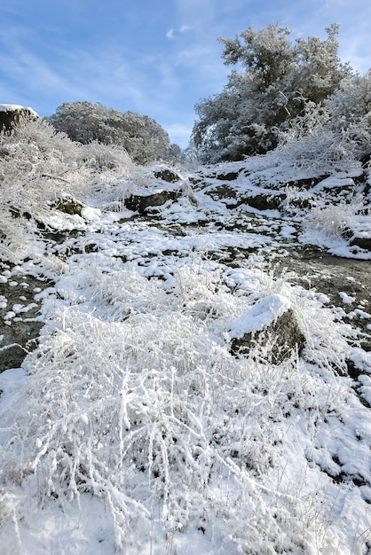 아침에 산에 겨울 풍경