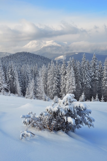 Winter landscape in a mountain valley