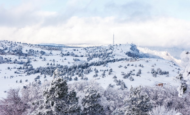 冬の風景、雪で覆われた山々。