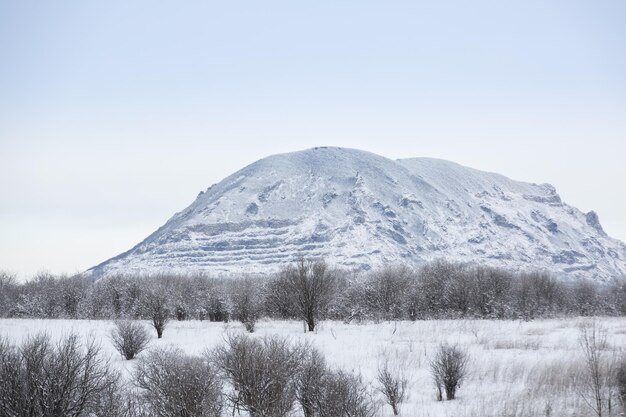 Foto paesaggio invernale. montagne nella neve.