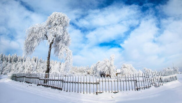 Photo winter landscape in mountains