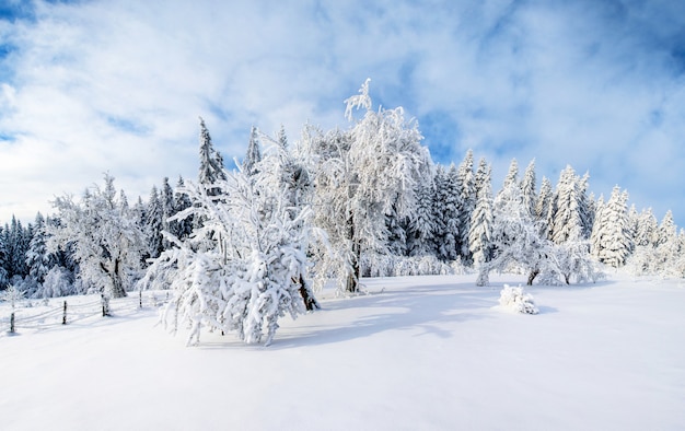 Winter landscape in mountains