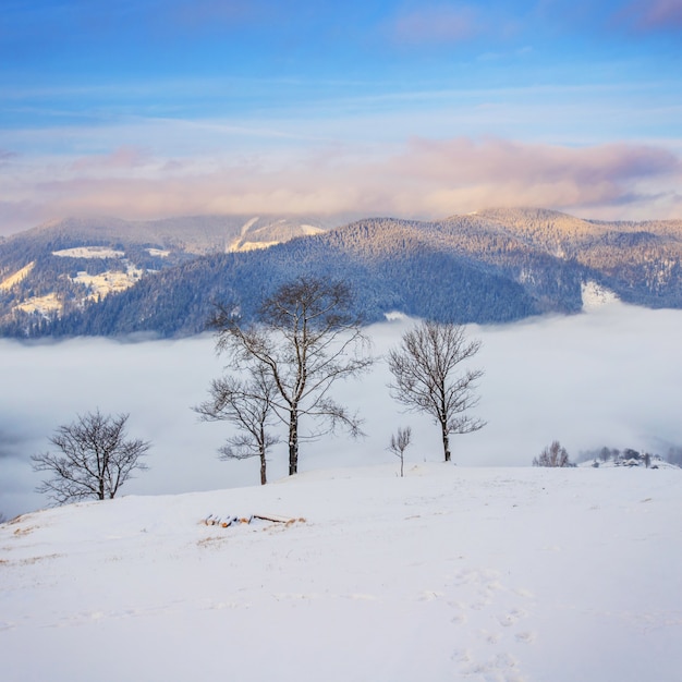 Photo winter landscape in mountains