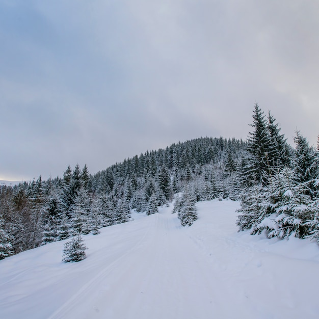 Winter landscape in mountains