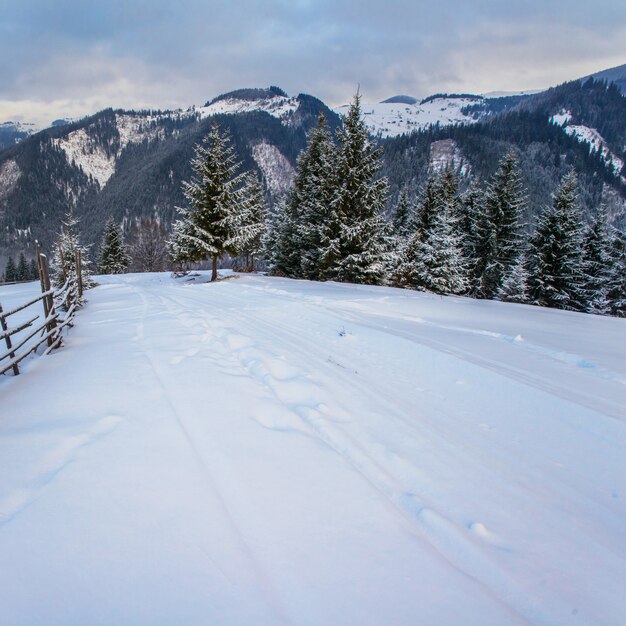 Foto paesaggio invernale in montagna