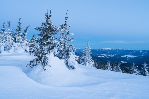 Winter landscape in the mountains