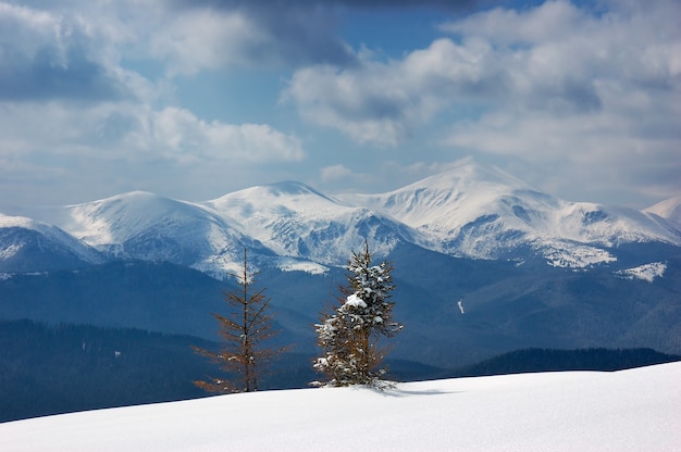 Winter landscape in the mountains