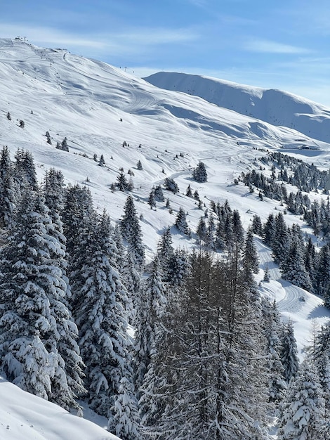 Photo winter landscape in the mountains