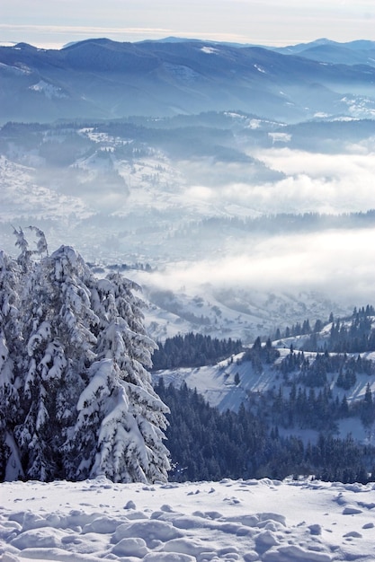 Winter landscape in mountains