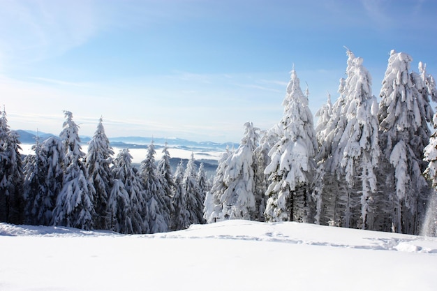 산의 겨울 풍경