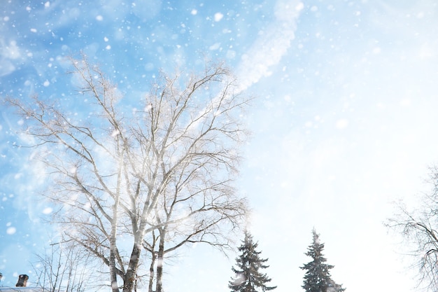 写真 雪の中の田園地帯と道路の冬の風景