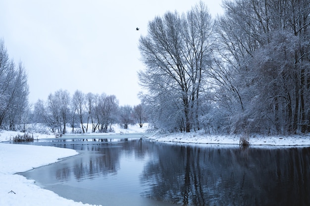 Paesaggio invernale con vista sul fiume durante nevicate. gli alberi innevati si riflettono nell'acqua