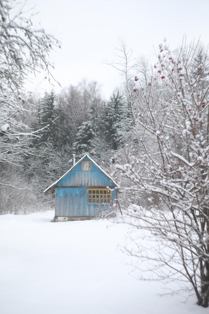 Winter landscape panorama with wooden house in the forest Snow covered hut Christmas holiday and winter vacations concept