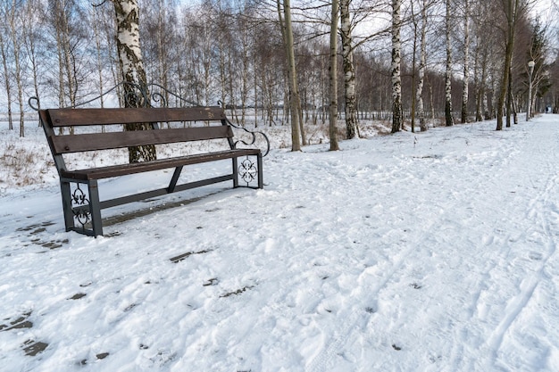 公園の冬の風景 凍るような冬の日に雪と氷で覆われたベンチと白樺の木立の眺め 都市公園でリラックスする場所