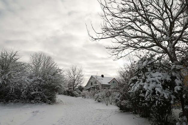 A winter landscape of pathway and snow-covered bushes and trees with a building background