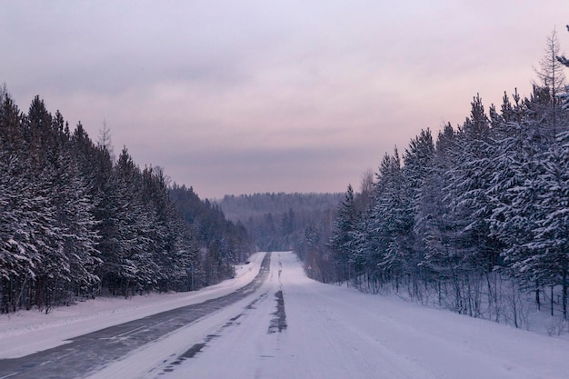 Winter landscape road through a snowy forest Winter travel