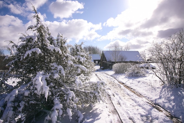 Paesaggio invernale. costruzione di una casa rurale dietro i rami della pianta di ginepro nella neve fresca.