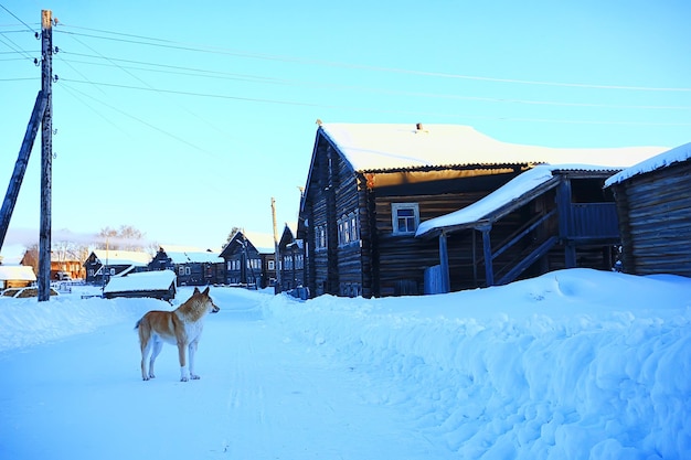 winter landscape russian village north wooden house