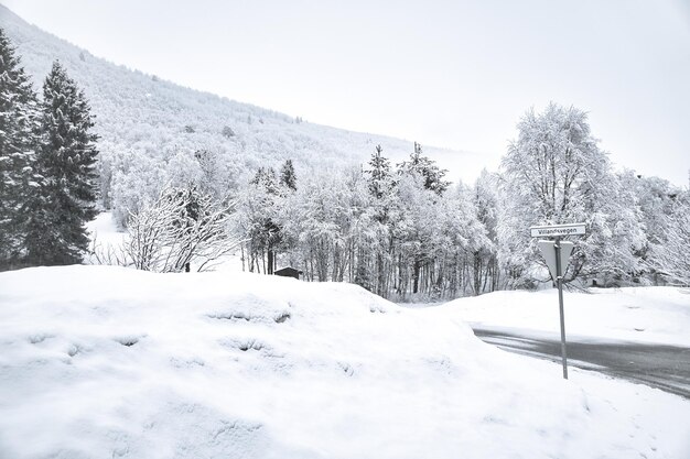 스칸디나비아의 겨울 풍경 산 풍경에 눈 덮인 나무와 함께