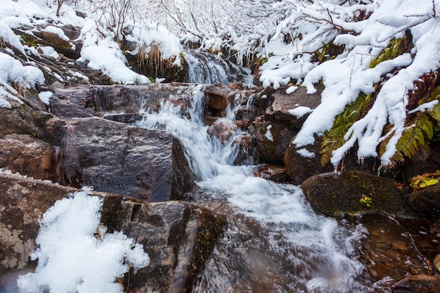 冬の風景カルパティア山脈ウクライナの木々の間の森に小さな速い小川が流れます