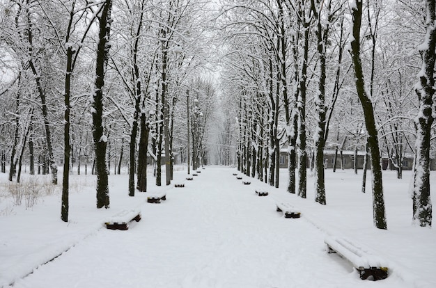 Winter landscape in a snow-covered park after a heavy wet 