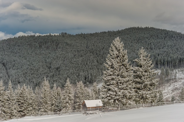 Winter landscape of snow Fairy Tale
