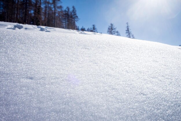 Фото Зимний пейзаж снежная текстура и лесной фон