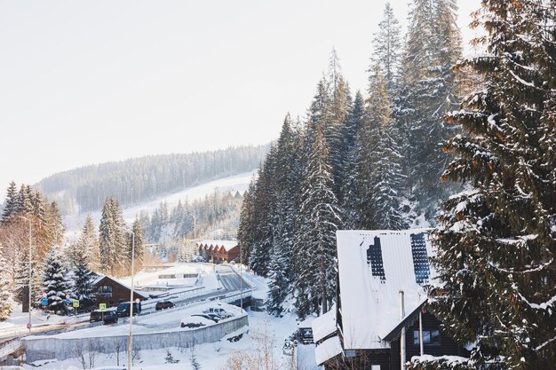 Winter landscape behind a snowy forest Winter in the forest Ski resort