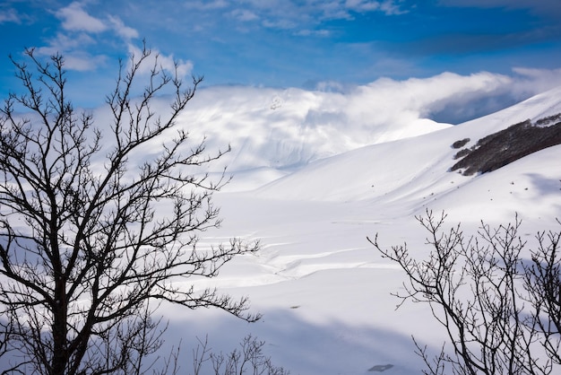 밝고 화창한 날에 눈으로 덮인 겨울 풍경 계곡과 언덕