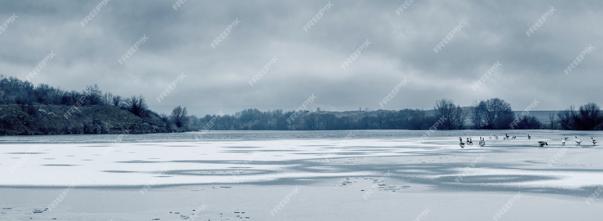 Free: Snowy winter background, gray sky