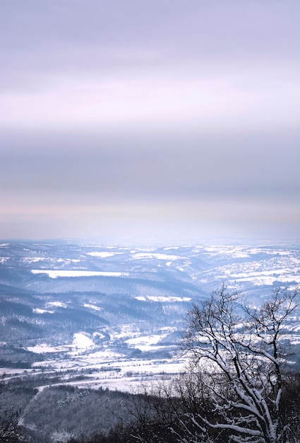 Foto vista del paesaggio invernale