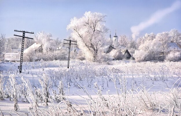 Paesaggio invernale nel villaggio e alberi innevati