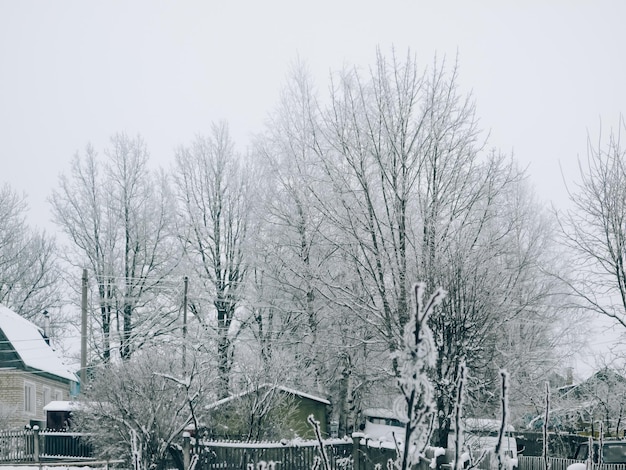 Winter landscape in the village