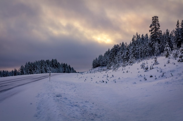 Winter landscape. Winter Finland. Dawn