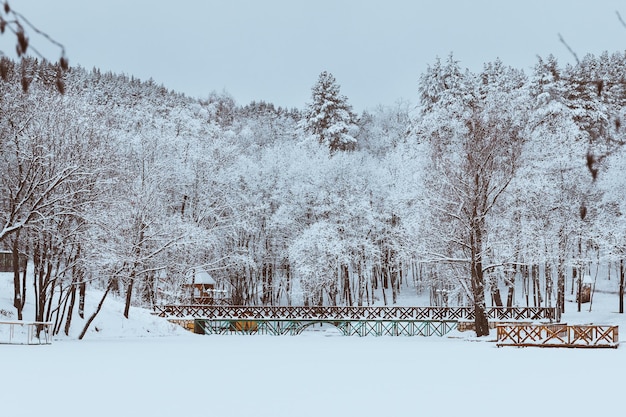 Winter landscape with a bridge and trees covered with frost