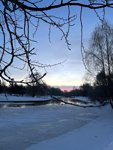 Фото Зимний пейзаж с рассветом