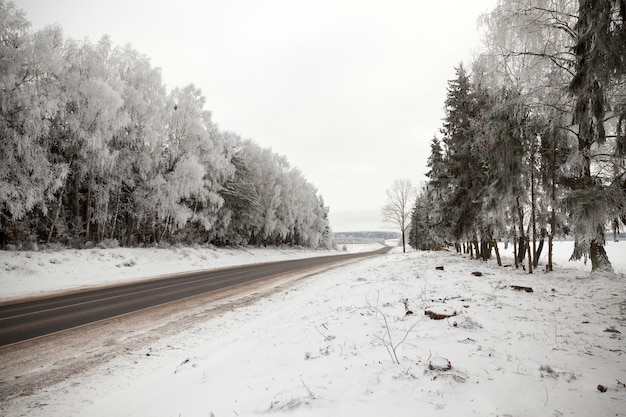 冬の季節、降雪後の凍るような日、道路の白い雪と霜で覆われたさまざまな種類の木々のある冬の風景