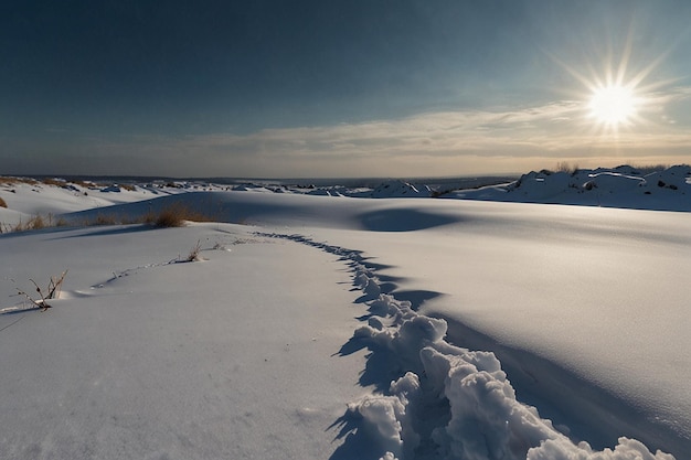 A winter landscape with drifts of snow