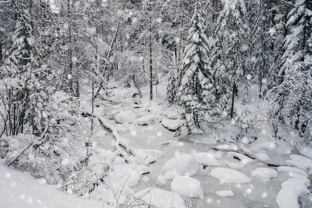 雪の下で公正な木と冬の風景