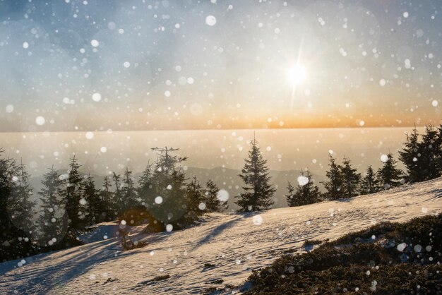 Winter landscape with fir trees snowflakes and heavy snowfall