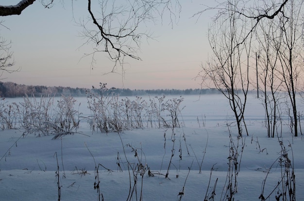 Photo winter landscape with frosty sunny day