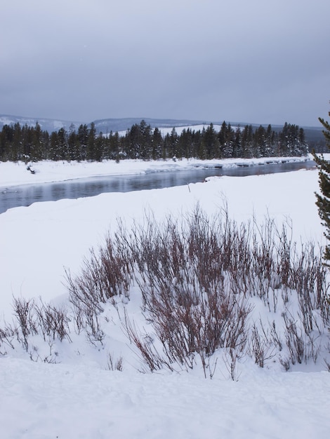 Winter landscape with frozen river in the Great Teton national park.