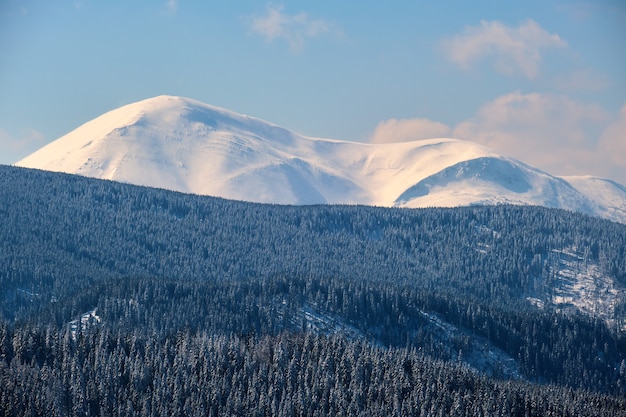 Зимний пейзаж с высокими горными холмами, покрытыми вечнозеленым сосновым лесом после сильного снегопада в холодный зимний день.